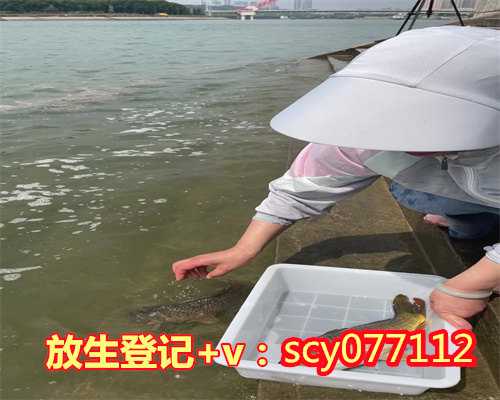 济南放生地点公布，网传市民买鳄龟在济南大明湖放生