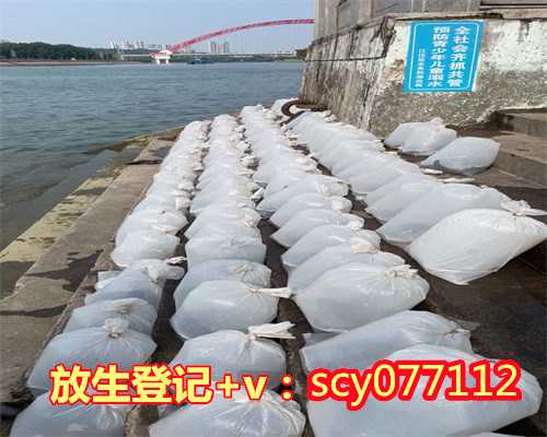 济南通惠河放生地，济南2023年7月放生时间表，济南哪个河域适合放生