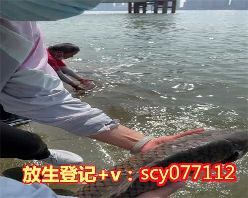 <b>济南哪里可以放生小鱼，网传市民买鳄龟在济南大明湖放生</b>
