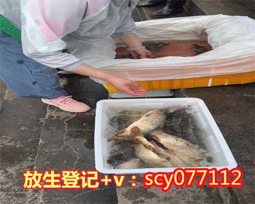 惠州不小心吃了放生的鱼怎么办,不小心吃了放生的鱼